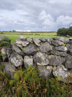 Zídky z vápence se zelení a vzdušnými mezerami – oblast Galway. Foto: Petr Brandejský
