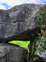 Nekonečné zídky z vápence – oblast Galway. Foto: Petr Brandejský