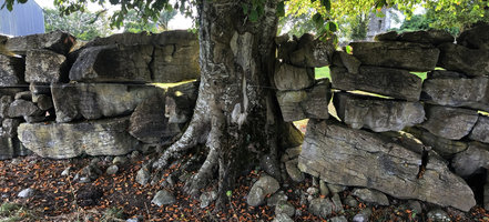 Příroda a historie společně s lidskou dovedností. Foto: Petr Brandejský