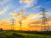Elektrické vedení a stožáry jsou smrtící hlavně pro dravce a čápy