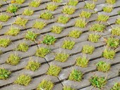 © sergeevspb - Fotolia.com © sergeevspb - Fotolia.com