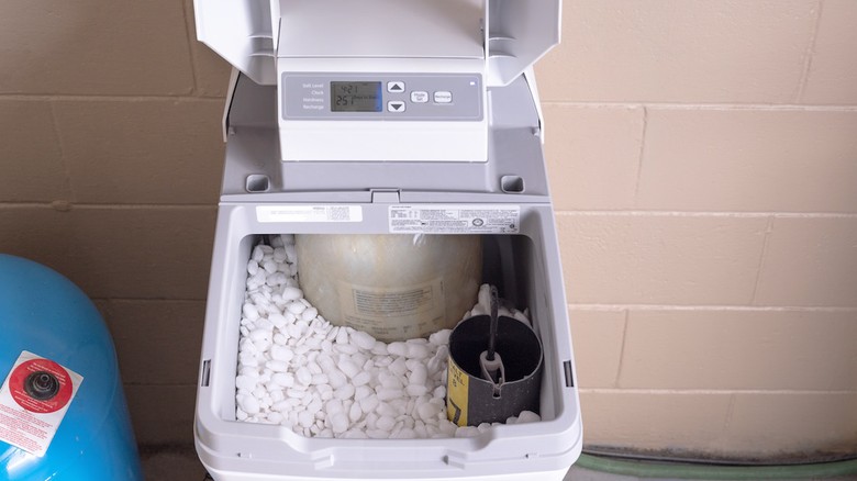 Zdroj foto: NC Photo / Adobestock.com