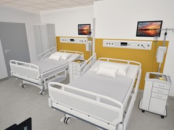 Zdroj vizualizace: DELTA Group&nbsp;CZ, FN Brno