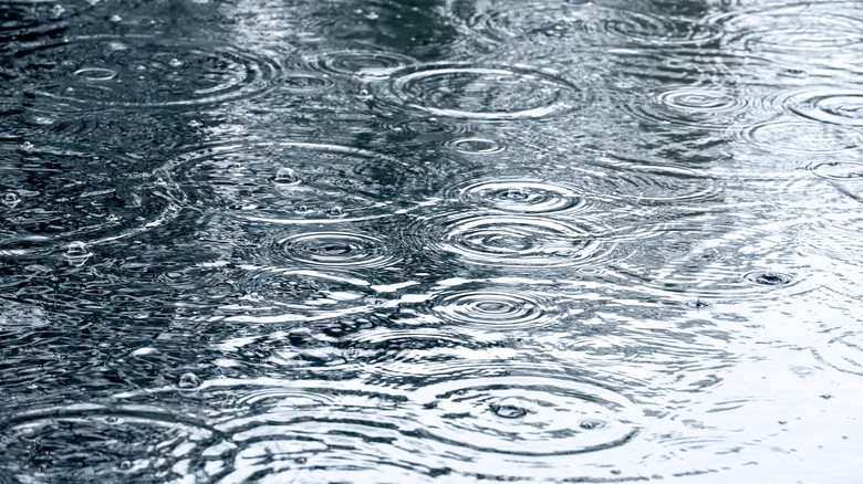 Déšť © Mr Twister - Fotolia.com Déšť © Mr Twister - Fotolia.com